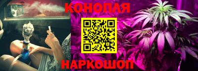 бошки Бийск